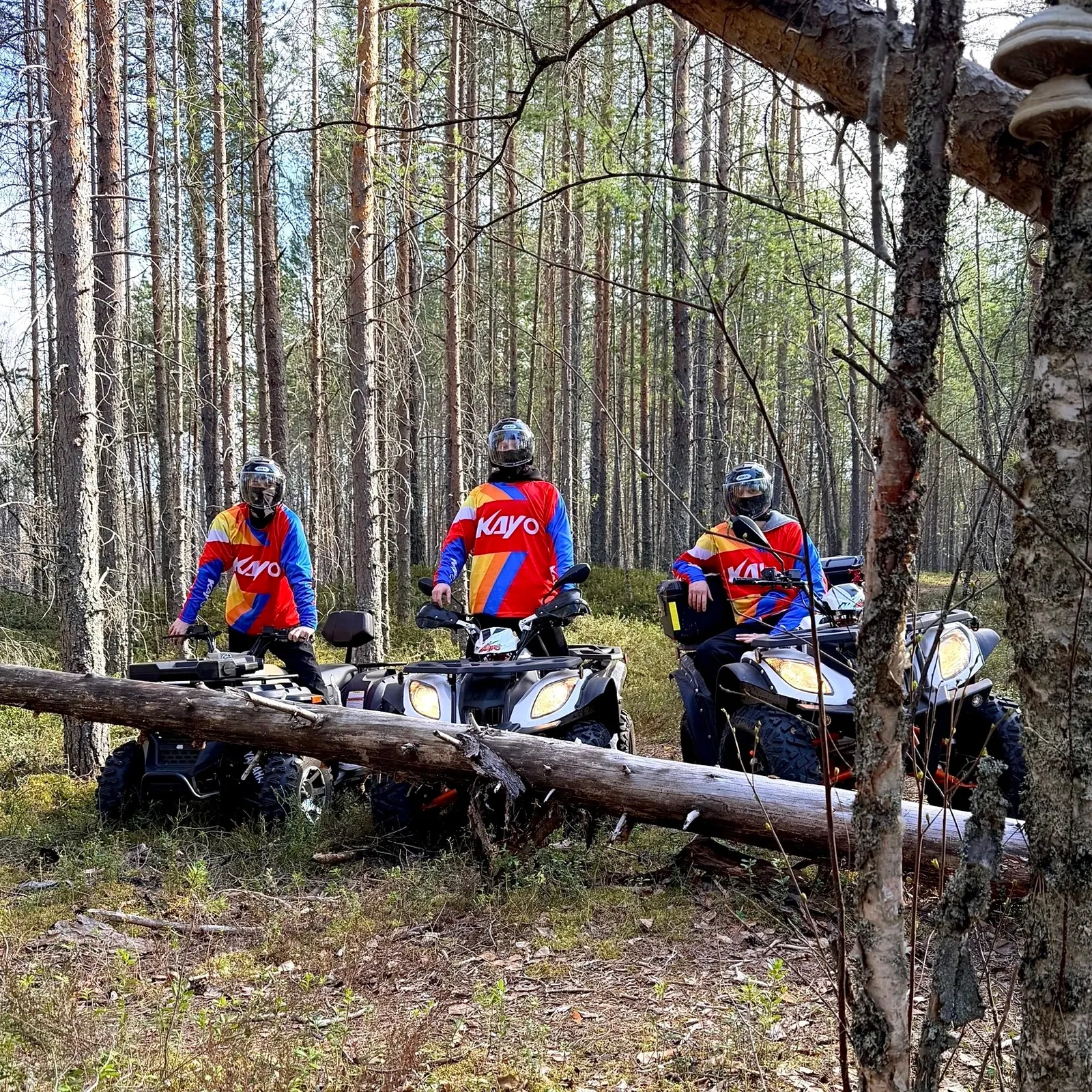 Фото территории и отдыха в загородном комплексе Эль Пасо, Северодвинск
